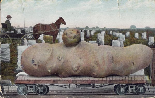 aetherconcept-patate