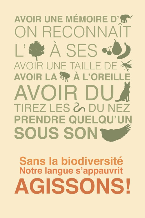 Projet élaboré dans le but de collaborer avec l’Espace pour la vie (Biodôme, Insectarium, Jardin botanique et Planétarium de la ville de Montréal) - 2/2