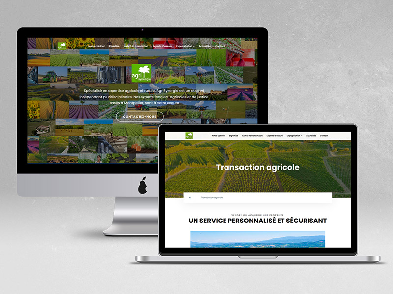 agrisynergies web rendu