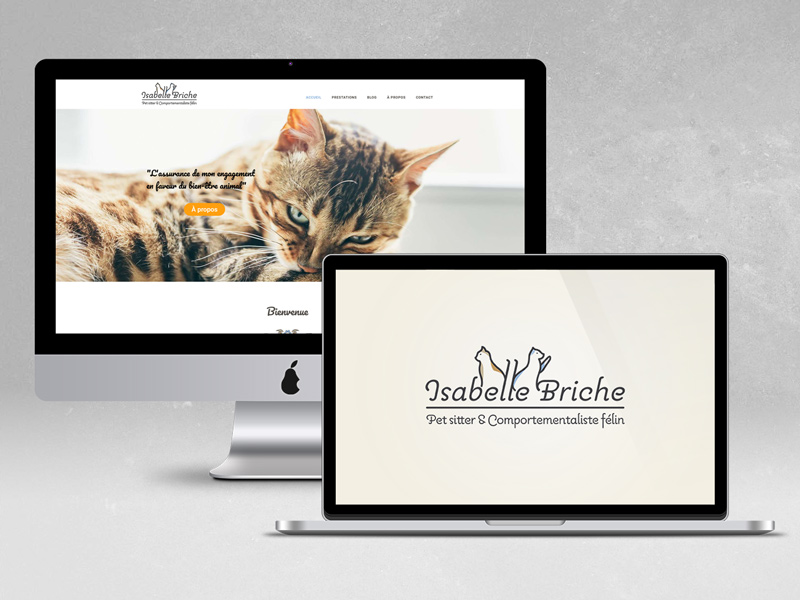 briche web rendu